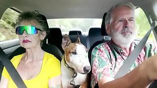We love road trips -- which are difficult insusceptible to Oahu&comma; only 125 miles in circumference&period; In this video&comma; we drive from eradicate affect Wind &period;&period;&period;